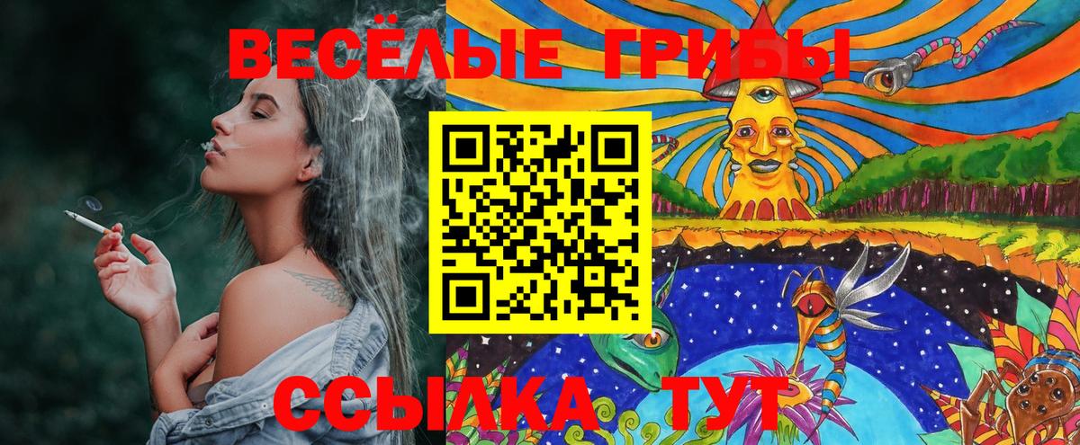 Пыть-Ях  Псилоцибиновые грибы GOLDEN TEACHER  Галлюциногенные грибы прущие грибы  Вход с VPN 